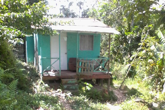 Negril Country Side Tour & Ricks Cafe - Itinerary Details