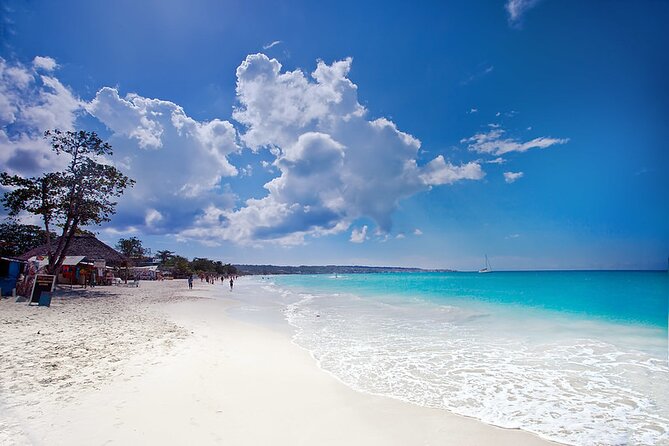 Negril Full-Day Private Tour From Montego Bay With Lunch - Pickup Information and Logistics