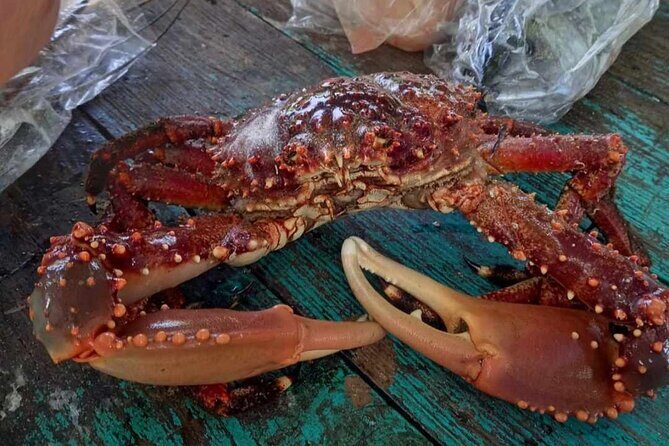 Negril Lobster Lunch on Booby Cay & Snorkeling To a Sunken Cannon - Final Thoughts