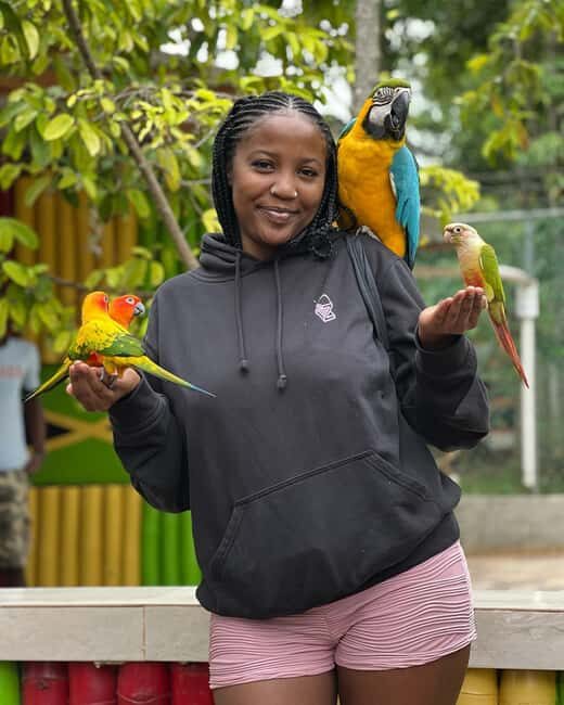 Negril Marijuana Farm and Mineral Spring Tour - FAQ