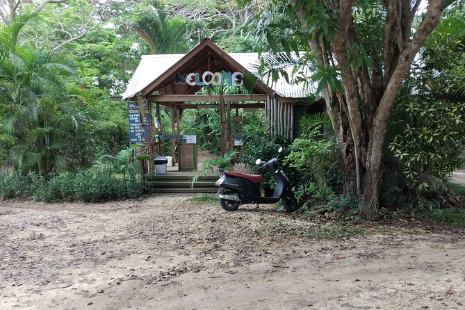 Negril Private and Public Beach With Ricks Cafe From Montego Bay - Overview of the Tour