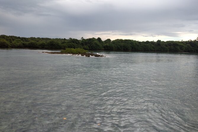 Negril Private and Public Beach With Ricks Cafe From Montego Bay - Pickup and Return Details