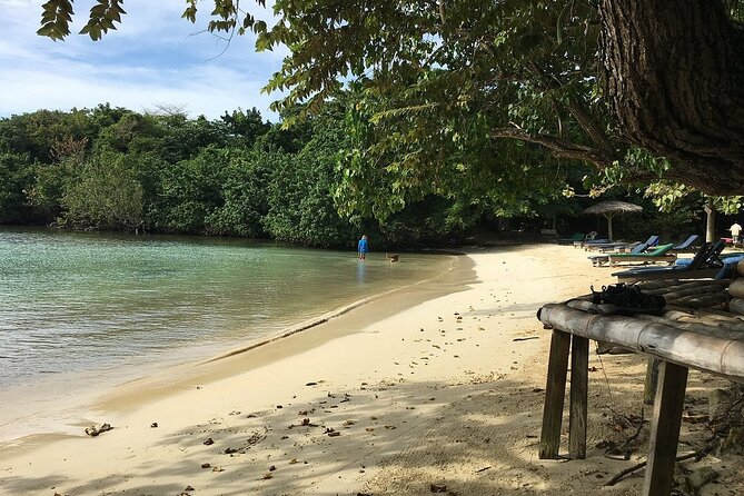 Negril Private and Public Beach With Ricks Cafe From Montego Bay - Tips for a Memorable Experience