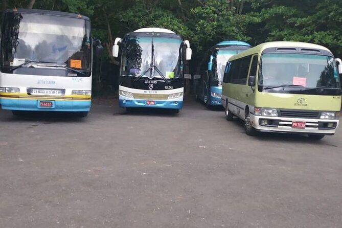 Negril Shuttle to Montego Bay Airport: 1-Way or Round-Trip - Transportation and Comfort