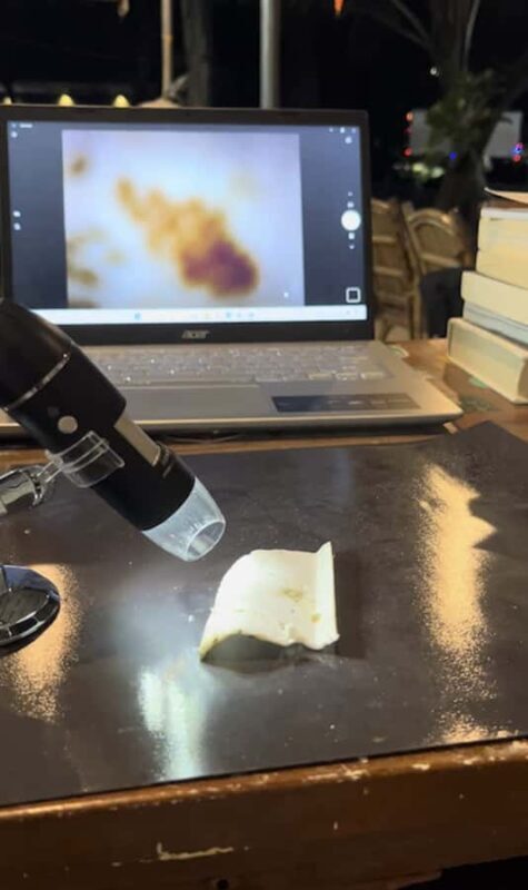 Neil Island: Shorewalk, Tidepooling & Marine Microscopy Tour - Exploring Neil Island’s Marine Wonders: Shorewalk, Tidepooling & Microscopy Tour