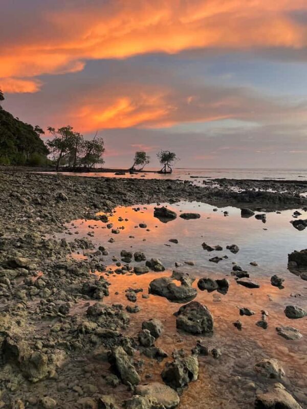 Neil Island: Shorewalk, Tidepooling & Marine Microscopy Tour - FAQ