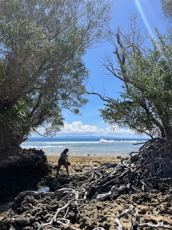 Neil Island: Shorewalk, Tidepooling & Marine Microscopy Tour - Good To Know