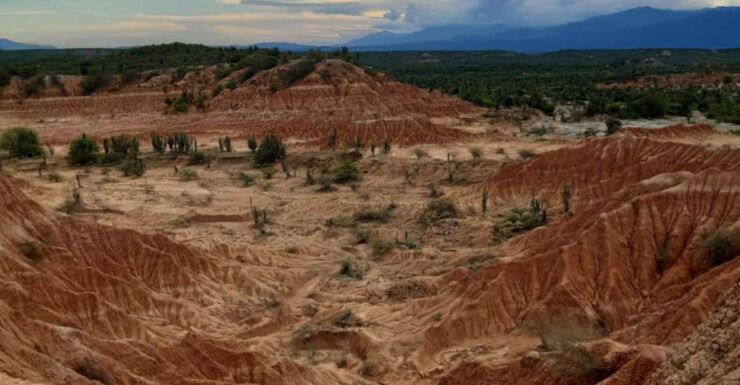 Neiva: Guided Day Trip to the Tatacoa Desert - Activity Details