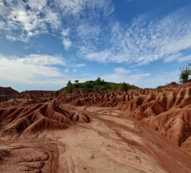 Neiva: Guided Day Trip to the Tatacoa Desert - Inclusions
