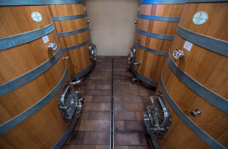 NEIVE: WINERY TOUR AND TASTING OF 5 WINES - Who Should Consider This Experience?