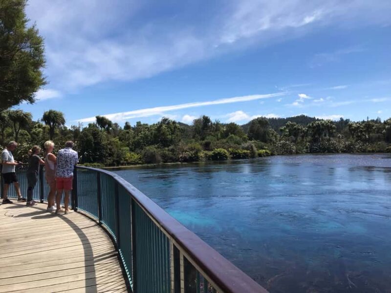 Nelson: Abel Tasman Cruise-Fly Day Tour - Good To Know