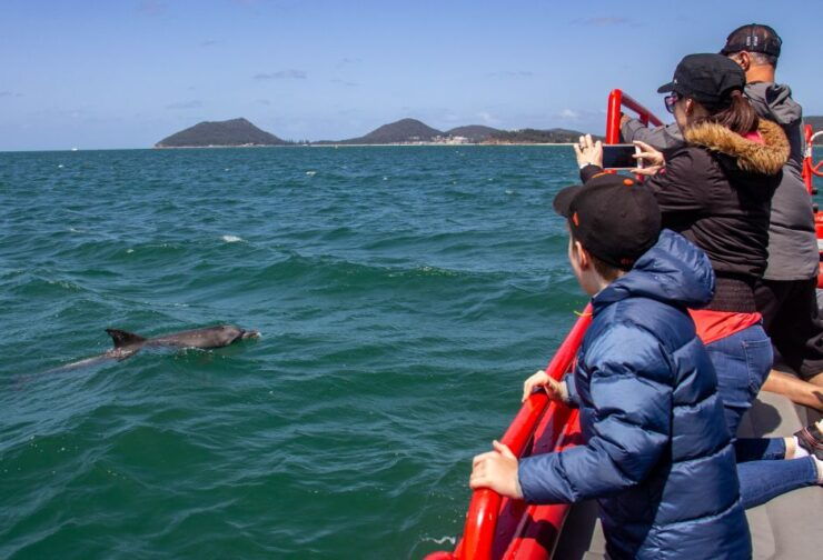 Nelson Bay: 1hr Dolphin Watch Express - Booking Information