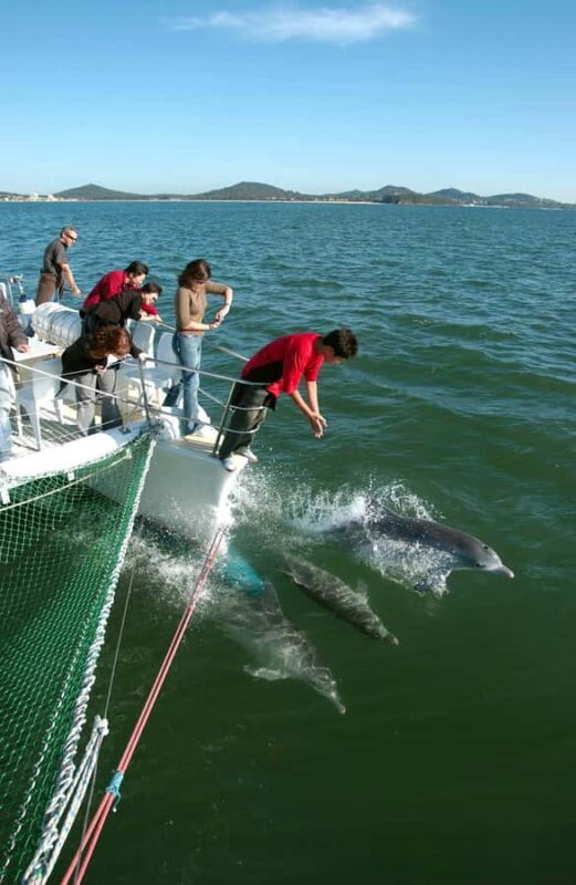 Nelson Bay: Dolphin Watch Cruise and Sail - An In-Depth Look at the Nelson Bay Dolphin Watch Cruise and Sail