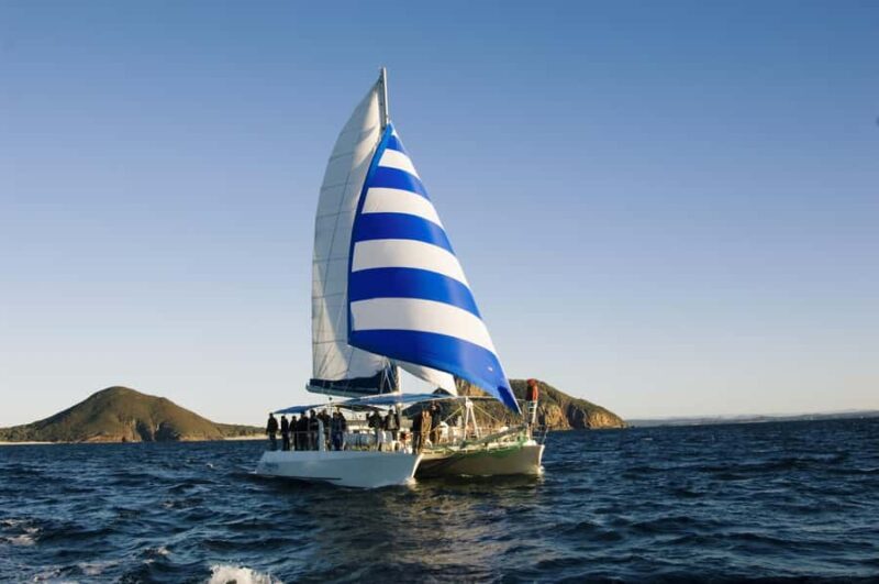 Nelson Bay: Dolphin Watch Cruise and Sail - Final Thoughts