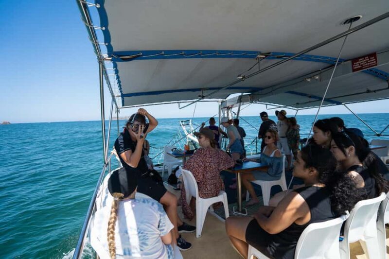 Nelson Bay: Marine Discovery Cruise with Snorkeling - A Closer Look at the Experience