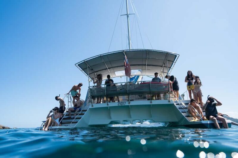 Nelson Bay: Marine Discovery Cruise with Snorkeling - Authentic Insights from Reviews