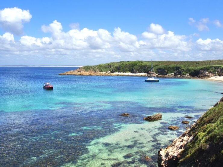 Nelson Bay: Port Stephens Island Snorkel Adventure Cruise - Activity Details
