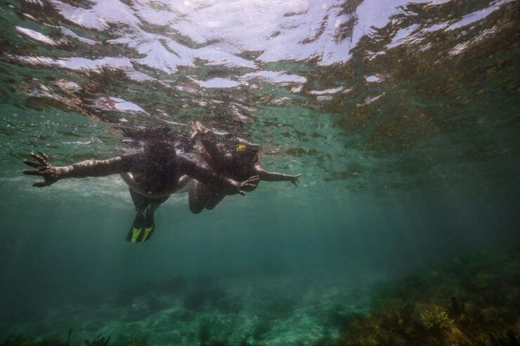 Nelson Bay: Port Stephens Island Snorkel Adventure Cruise - Experience Highlights