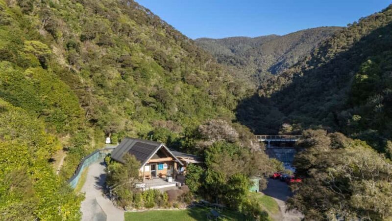 Nelson: Brook Waimrama Sanctuary Entry Ticket - Exploring the Brook Waimarama Sanctuary — What to Expect