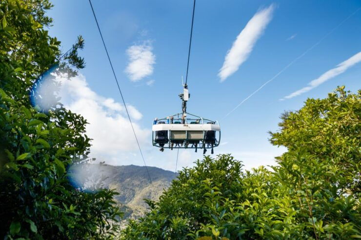 Nelson: Cable Bay Adventure Park Skywire Ticket - Activity Details and Booking Information