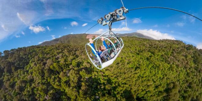 Nelson: Cable Bay Adventure Park Skywire Ticket - Spectacular Views of Rainforest and Farmland
