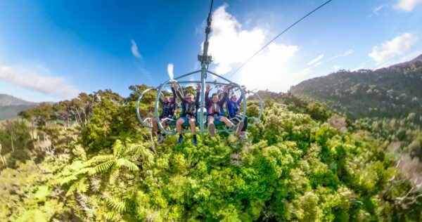 Nelson: Cable Bay Adventure Park Skywire Ticket - Convenient Transfers and Engaging Guide