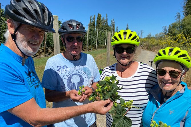 Nelson City E-Bike Adventure - Tour Overview and Location
