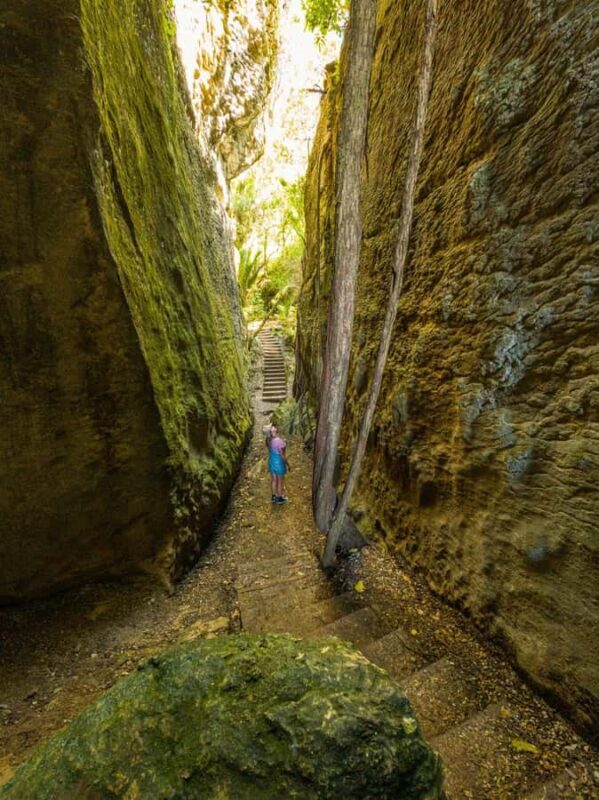 Nelson: Golden Bay in a Day Tour - An In-Depth Look at the Nelson: Golden Bay in a Day Tour