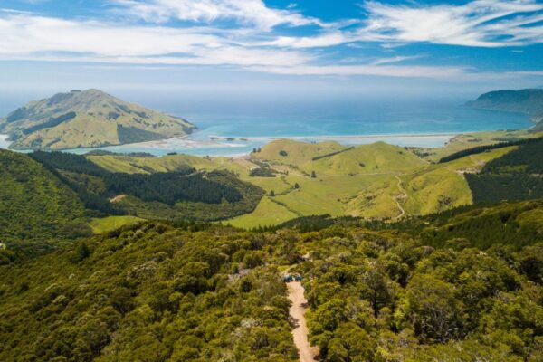 Nelson: Guided Quad Biking Tour Through Forest and Farmland - Pricing and Availability