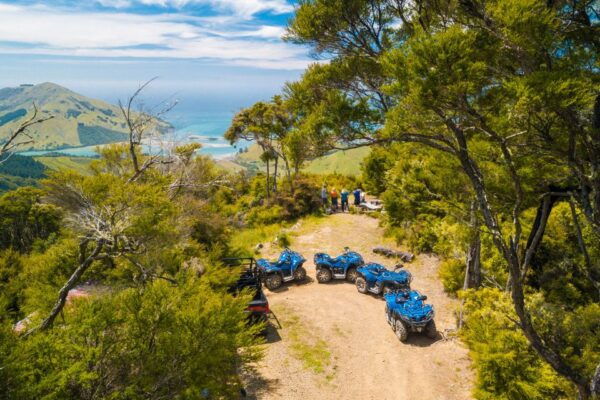 Nelson: Guided Quad Biking Tour Through Forest and Farmland - The Sum Up