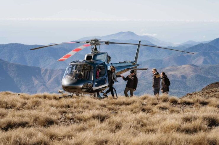 Nelson: Helicopter Flight With Mountain Landing & Bay Views - Activity Details