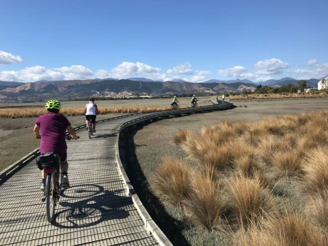 Nelson: Self-Guided Tunnel to Town Cycling Tour via Mapua - Customer Reviews