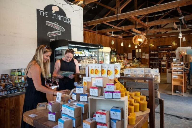 Nelson: Taste Tasman Food & Wine Tour with Lunch & Tastings - The Sum Up