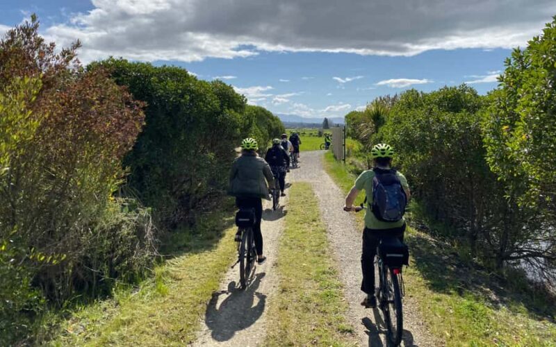 Nelson to Mapua: Full-Day Cycling Self-Guided Adventure - Final Thoughts