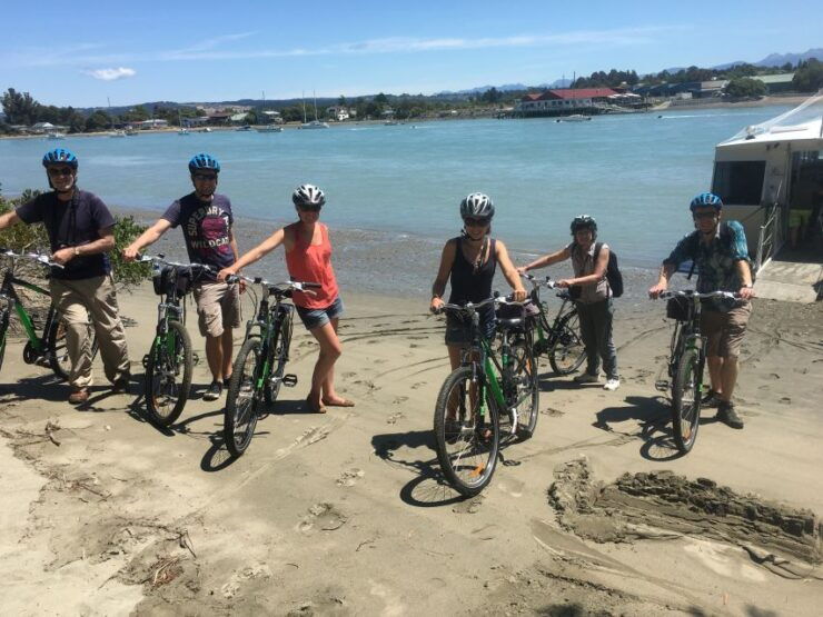 Nelson to Mapua: Full-Day Cycling Self-Guided Adventure - Activity Experience