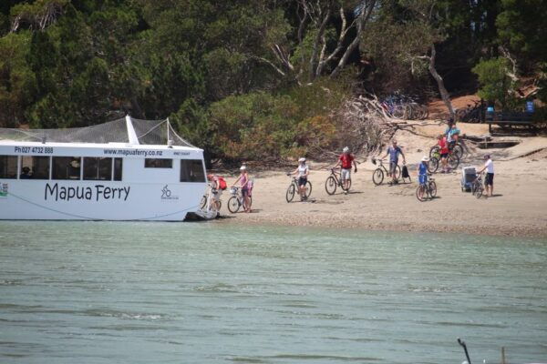 Nelson to Mapua: Full-Day Cycling Self-Guided Adventure - The Sum Up