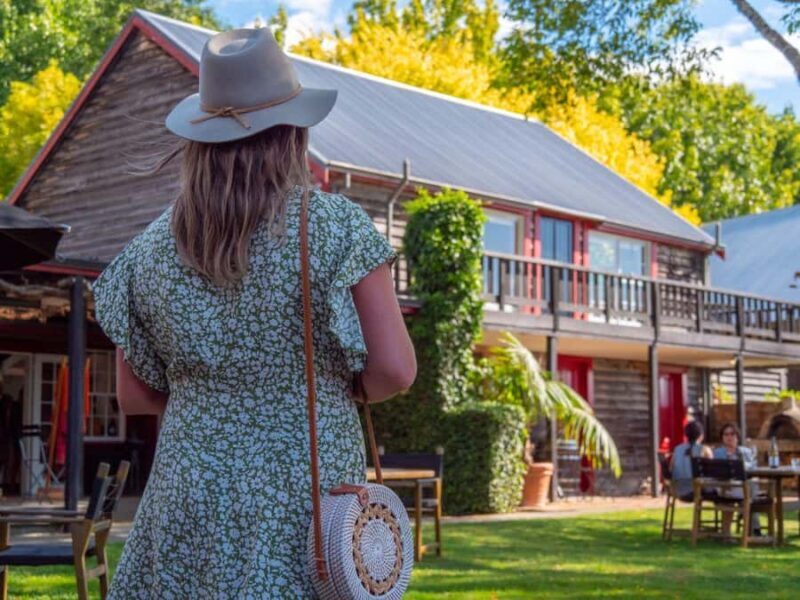 Nelson: Wine Tour with Tastings and Lunch - A Quick Look at the Experience