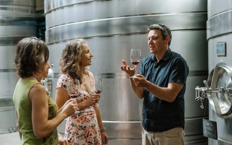 Nelson: Wine Tour with Tastings and Lunch - Exploring Nelson’s Wine Scene