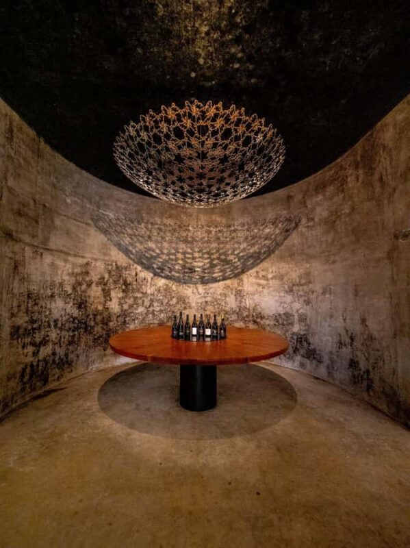 Nelson: Wine Tour with Tastings and Lunch - Final Thoughts: Who Should Consider This Tour?