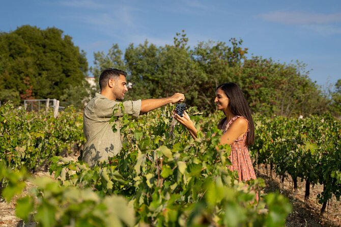 Nemea Wine Roads, the Most Famous Wine Tour in Greece - Overview of the Nemea Wine Tour
