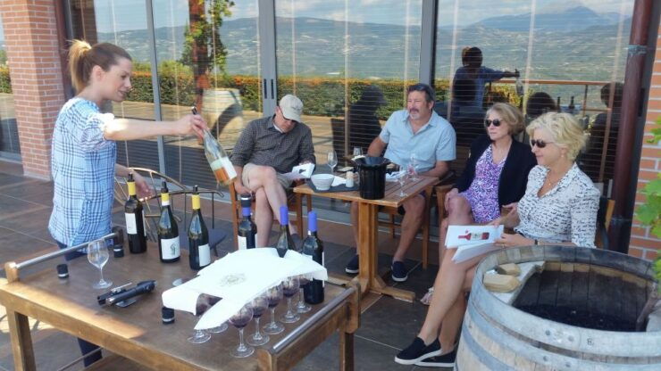 Nemea Winery Private Day Tour With Lunch - Wine Tasting and Expert Guidance