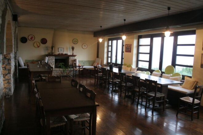 Nemea Winery Private Day Tour With Lunch - Variety of Wineries and Wines