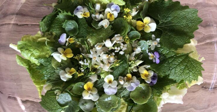 Nemi: Herb Harvesting and Cooking Class Experience - Good To Know