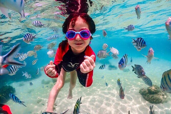 Nemo Island and Big Buddha Mountain Snorkeling from Bangkok - The Itinerary in Depth: What You Can Expect