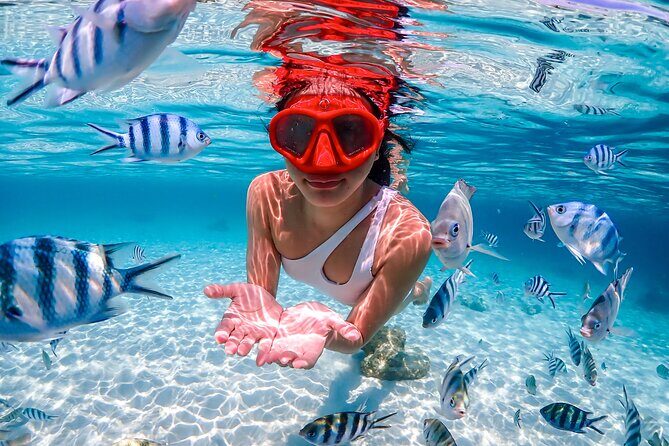 Nemo Island and Big Buddha Mountain Snorkeling from Bangkok - Practical Details & Tips