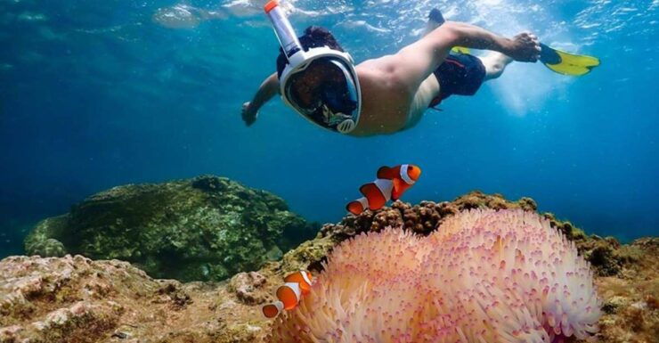 Nemo Island Experience With Drone Photos and Lunch - Good To Know