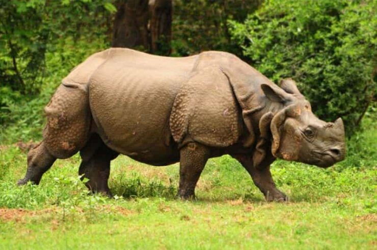 Nepal: 10 -Day Cultural & Natural Highlights Tours in Nepal - Key Points