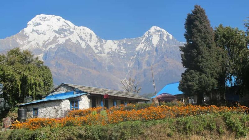 Nepal: 10-Day Private Buddhist Circuit Tour - An In-Depth Look at the 10-Day Itinerary