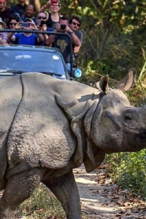 Nepal: 11-Day Jungle Safari & Annapurna Base Camp Expedition - Key Points