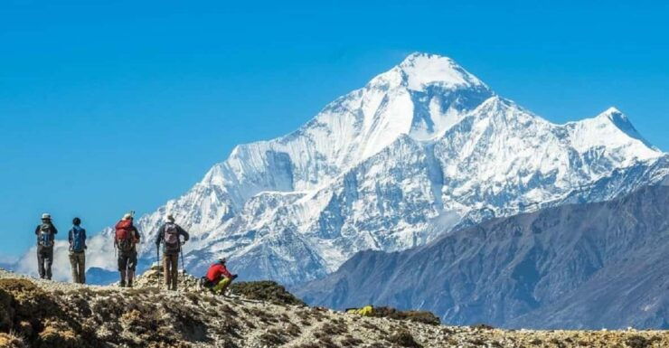 Nepal: 11-Day Jungle Safari & Annapurna Base Camp Expedition - Detailed Itinerary